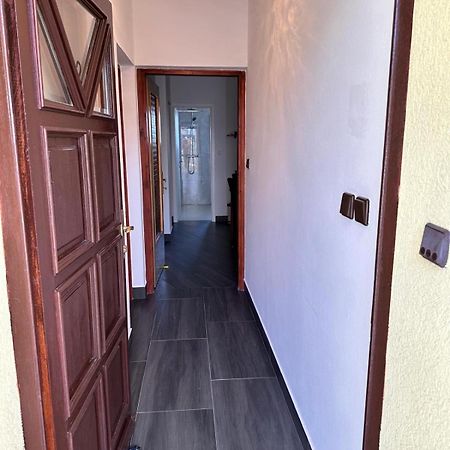Apartman Nikola Salatic Ngoại thất bức ảnh